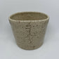 Speckled Palestine cup