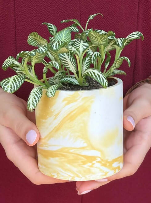 Marble Pen/Plant Pot