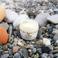 Anti-wrinkle Eye & Lip Cream