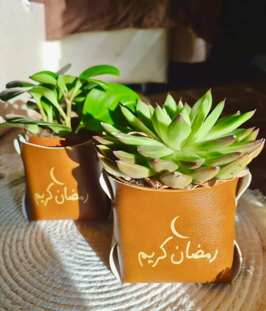 Personalized Message Leather Plant Pot